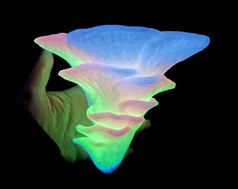 Regenbogen leuchtendes Pilzregal, Djamor, hängendes 3D gedrucktes Pilzregal, im Dunkeln leuchtendes Pilzregal, Wohnheim-Aufbewahrungswanddekor