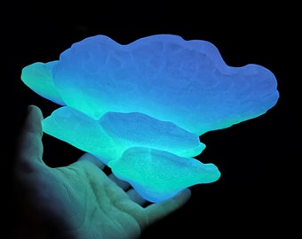 3D Gedruckter Gibbosa Pilz, Glow In the Dark Pilz Regal, Cottagecore Wanddekoration