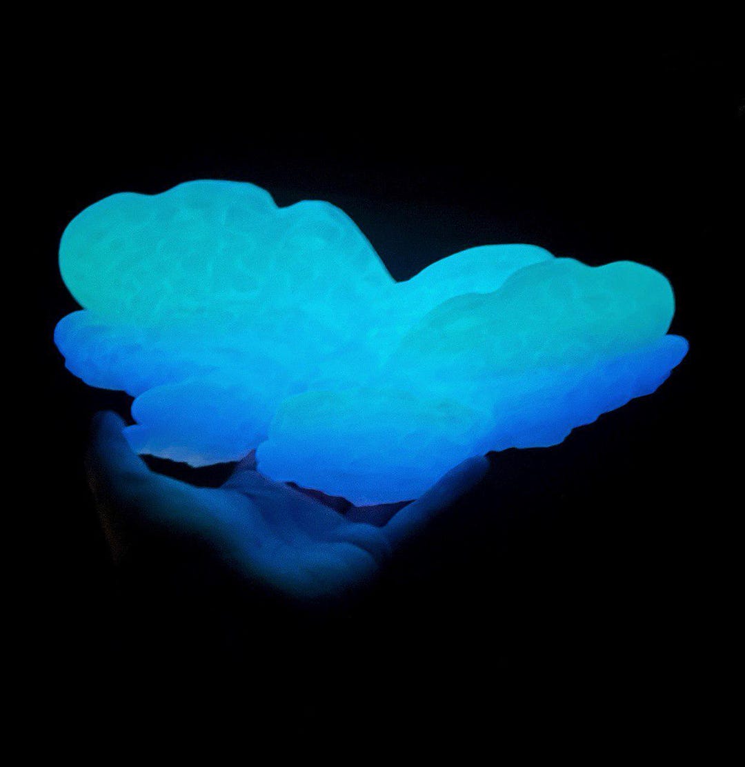 Mushroom Floating Shelf, Ostrea Fungus Fall Fairycore Vibes, Hippie ...