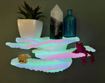 May include: A white, multi-tiered shelf with a cloud-like design, glowing with iridescent colors. The shelf is decorated with a potted succulent, a crystal, a blue glass bottle, a small hippo figurine, and a pink frog figurine.