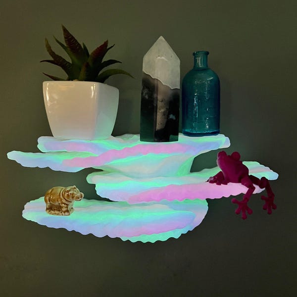 Glow in the dark Floating Coral shelf Large “Montipora Capricornis” , unique beach bathroom home decor, coral reef book shelf