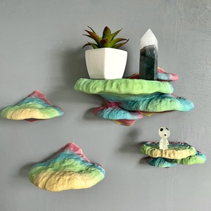 Pinicula Full Set of Mushroom Shelves, Mushroom Shelf that Glows In the Dark, Cottagecore Wall Decor