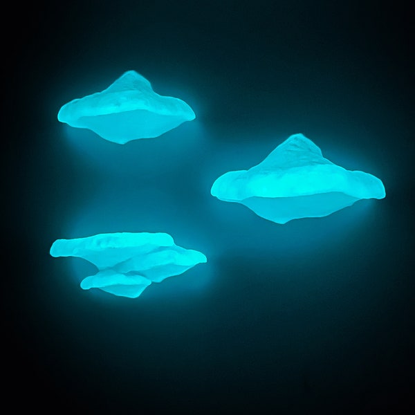 Pinicula Mini Set of Mushroom Shelves, Mushroom Shelf that Glows In the Dark, Cottagecore Wall Decor, mushroomcore and fairycore style