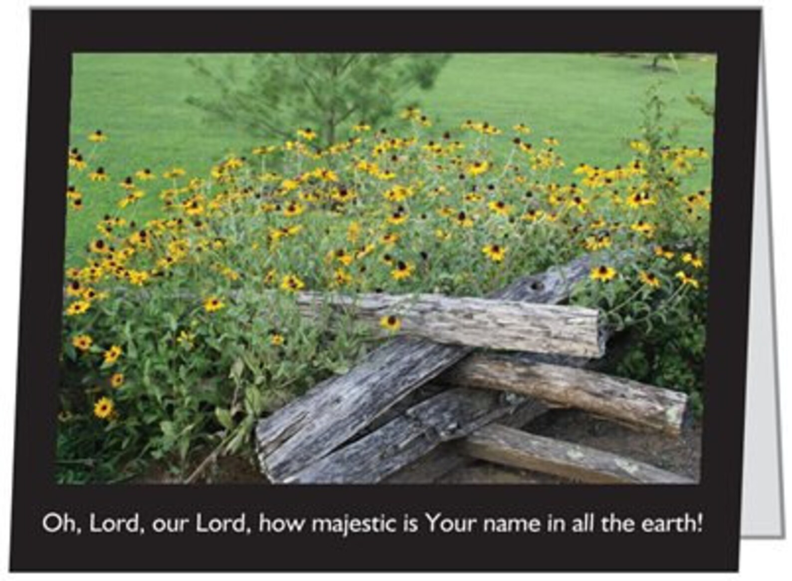 Oh Lord our Lord how majestic is Your name in all the Etsy