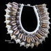 see more listings in the SEASHELL/CORAL/BEAD  section