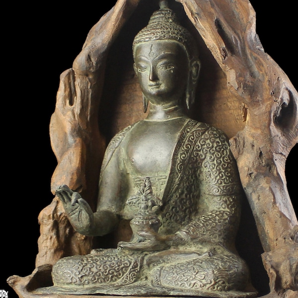 Bronze Healing Buddha In Natural Wood 49CM Medicine Buddha With Alms Bowl And Myrobalan