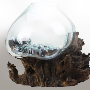 Terrarium&gt;&gt;Glass Vessel On Wood Base Hand Blown Molten Glass & Wood Base;Table Top Piece,Fish Bowl Drift Wood Decor Planter 30x33x28cm