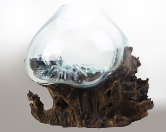 Hand Blown Glass Terrarium: Molten Glass on Driftwood Base