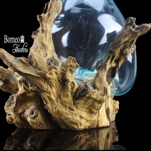 Molten Glass On Wood 27x28x32CM Hand Blown Glass, Drift Wood Base; Fish Tank, Indoor Planter