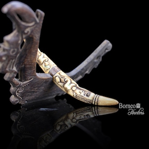 Coltello raccolto da Dayak Kalimatan Borneo, Rice Cutter ASO Dragon Collectible Tribal Knife Longhouse Harvest Gawai Festival Ritual Knife