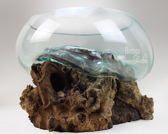 Glass Terrarium On Wood Base/Fish Bowl/Vase/Salad Bowl- Table Top Piece Hand Blown Molten Glass On Drift Wood Root (22.8x30cm)