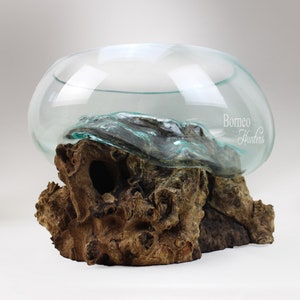 Glas Terrarium auf Holz Basis/Fisch Schale/Vase/Salat Schale - Tisch Platte Stück Hand geblasen geschmolzenes Glas auf Drift Holz Wurzel (22,8 x 30cm)