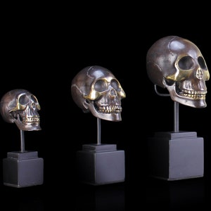 Realistic Skull Sculptures. Brass Indonesian Skull On Base Two-Tone Vintage Deep Brown Gold Accented. Cycle Of Life Set Of Three Home Decor