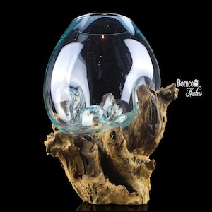 Mundgeblasenes Geschmolzenes Glas auf Holzsockel 36x23x21CM Terrarium/Vase/Fischschale Eco Indoor Übertopf Unikat Unikat Holzwurzel