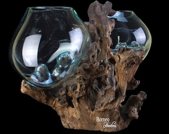 13.2x18x12&quot; Hand-Blown Molten Glass On Driftwood Base;Sculpted Terrarium/Vase/Fish Bowl Indoor Planter Eco Tillandsia Aerium Unique Root