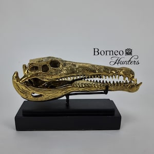 Brass Crocodile Skull Sculpture: Bold Statement Decor (21cm)