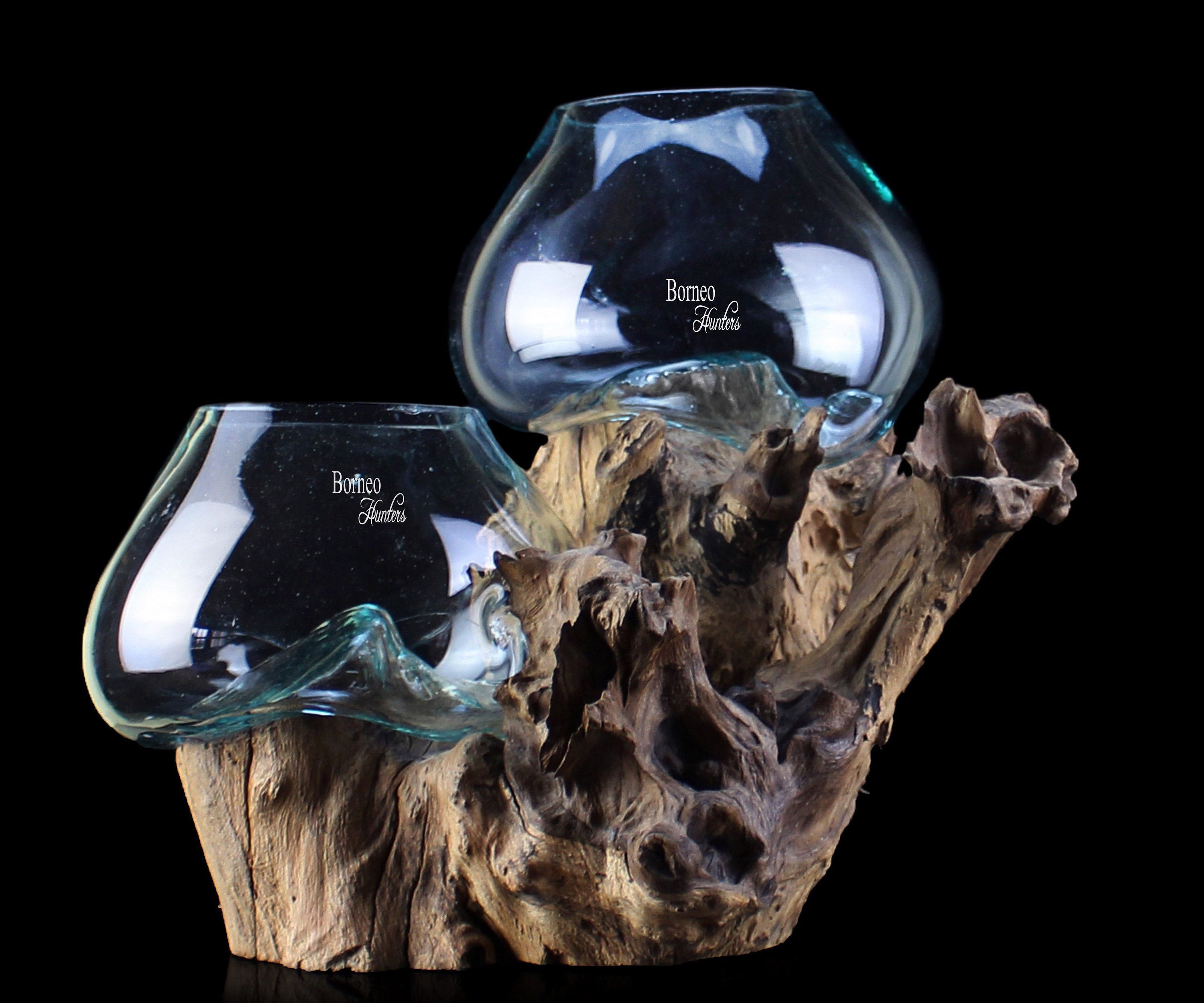 Hand Blown Molten Glass Terrarium On Driftwood Base
