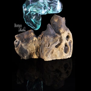 Puede incluir: Una escultura de vidrio transparente de color turquesa se coloca encima de un trozo de madera flotante. La madera flotante es de color marr&oacute;n claro con detalles en marr&oacute;n oscuro y varios agujeros. El texto "Borneo Hunters" est&aacute; en la esquina inferior izquierda.