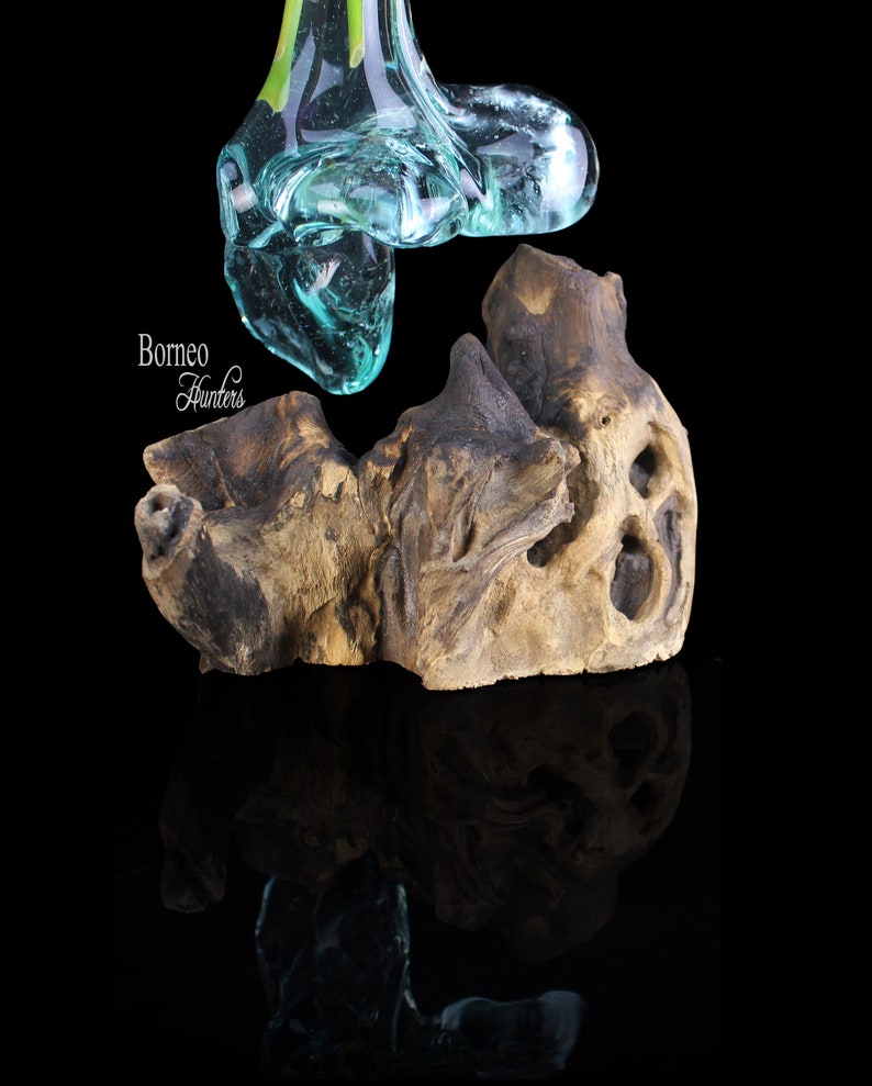 Puede incluir: Una escultura de vidrio transparente de color turquesa se coloca encima de un trozo de madera flotante. La madera flotante es de color marr&oacute;n claro con detalles en marr&oacute;n oscuro y varios agujeros. El texto "Borneo Hunters" est&aacute; en la esquina inferior izquierda.