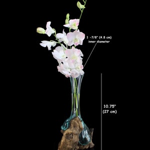 Puede incluir: Un jarr&oacute;n de vidrio transparente con un di&aacute;metro interior de 4,8 cm, 27 cm de alto y 12 cm de ancho, que contiene orqu&iacute;deas blancas y rosas. El jarr&oacute;n est&aacute; colocado en un trozo de madera flotante. Peso total: 0,97 kg.