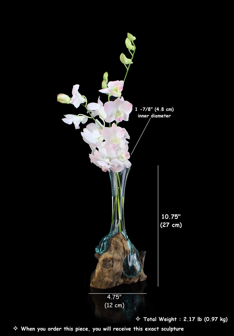 Puede incluir: Un jarr&oacute;n de vidrio transparente con un di&aacute;metro interior de 4,8 cm, 27 cm de alto y 12 cm de ancho, que contiene orqu&iacute;deas blancas y rosas. El jarr&oacute;n est&aacute; colocado en un trozo de madera flotante. Peso total: 0,97 kg.