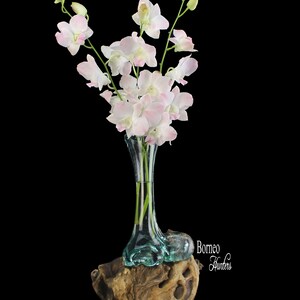 Puede incluir: Un jarr&oacute;n de cristal transparente con un dise&ntilde;o &uacute;nico en forma de pie sostiene un ramo de orqu&iacute;deas blancas y rosas. El jarr&oacute;n se apoya sobre una base de madera natural y envejecida, creando un contraste llamativo. El texto "Borneo Hunters" es visible.