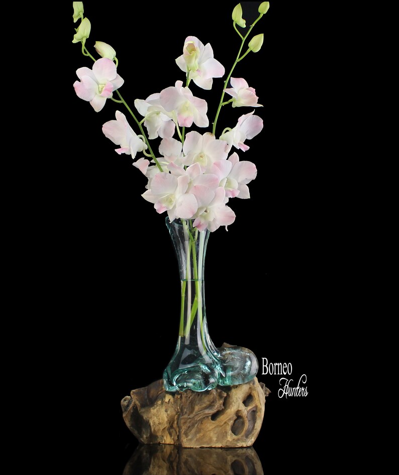 Puede incluir: Un jarr&oacute;n de cristal transparente con un dise&ntilde;o &uacute;nico en forma de pie sostiene un ramo de orqu&iacute;deas blancas y rosas. El jarr&oacute;n se apoya sobre una base de madera natural y envejecida, creando un contraste llamativo. El texto "Borneo Hunters" es visible.