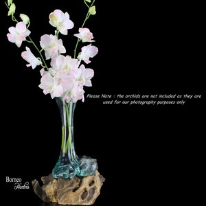 Puede incluir: Un jarr&oacute;n de cristal transparente con base turquesa, que contiene orqu&iacute;deas blancas y rosas. El jarr&oacute;n est&aacute; sobre un trozo de madera flotante. El texto de la imagen dice "Borneo Hunters" y "Please Note: the orchids are not included as they are used for our photography purposes only."