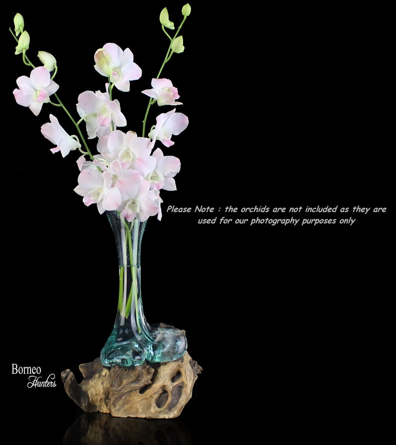 Puede incluir: Un jarr&oacute;n de cristal transparente con base turquesa, que contiene orqu&iacute;deas blancas y rosas. El jarr&oacute;n est&aacute; sobre un trozo de madera flotante. El texto de la imagen dice "Borneo Hunters" y "Please Note: the orchids are not included as they are used for our photography purposes only."