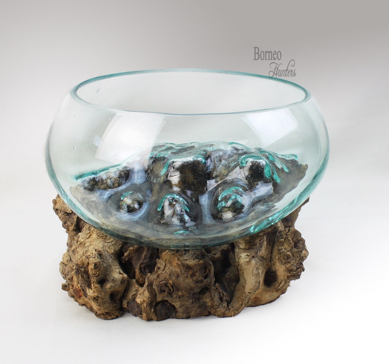 Glass Terrarium on Wood Base/fish Bowl/vase/salad Bowl Table Etsy