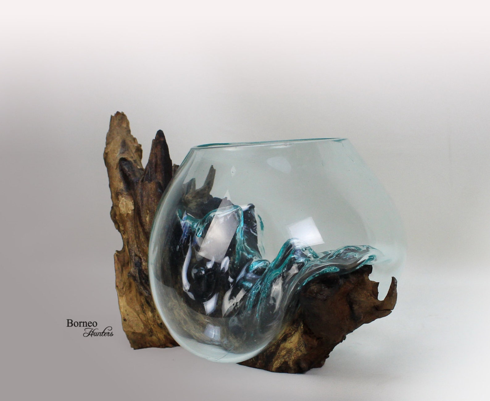 HandBlown Molten Glass On Driftwood Base Sculpted Etsy