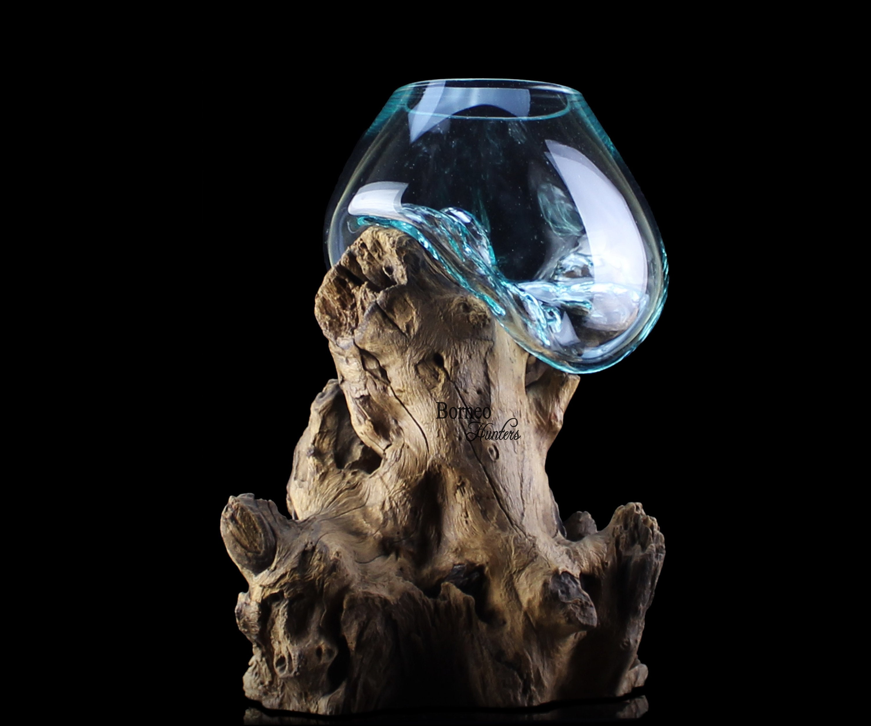 Glass On Wood Hand Blown Molten Glass On  Sculptural Wood Base With Glass Vessel/Tabletop Fish Bowl/Terrarium Philodendron Peperomia