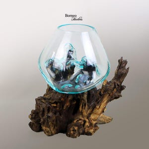 Fairy Garden Hand Blown Molten Glass on Wood Root Base Sculpture 7 x 6 Air Plant Terrarium One of a Kind Medium Fairy Garden Hand Blown Molten Glass on Wood Root Base Sculpture 7 x 6 Air Plant Terrarium One of a Kind Medium