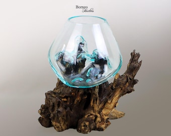 Hand-Blown Molten Glass On Wood Base; Sculpted Terrarium/Vase/Fish Bowl Indoor Planter Eco Tillandsia Aerium Unique Wood Root 13x12&quot;