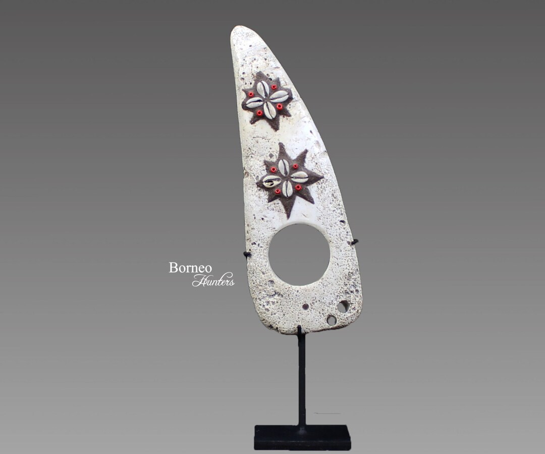 Papua Shell Money New Guinea 9.3