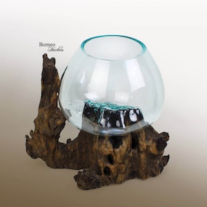 May include: A clear glass bowl sits on a dark brown wooden base. The bowl has a teal rim and a small teal and black base.