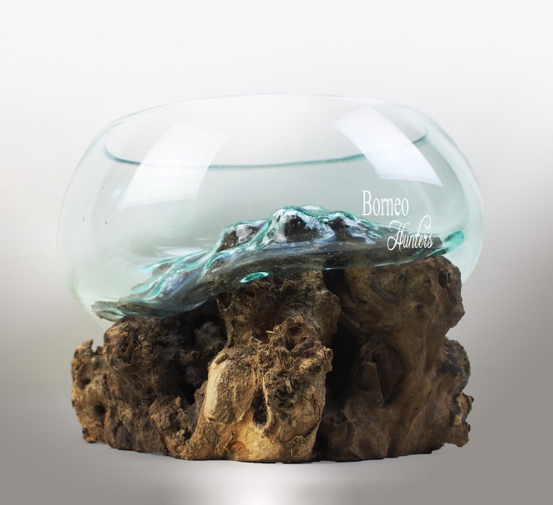 Glass Terrarium on Wood Base/fish Bowl/vase/salad Bowl Table Etsy