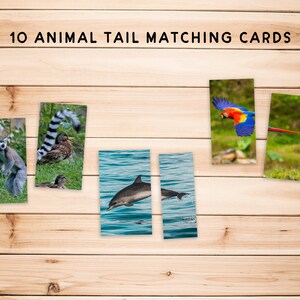 May include: 10 Animal Tail Matching Cards.  A set of 10 cards featuring images of animals and their tails.  The cards are printed on white cardstock and have a woodgrain background.