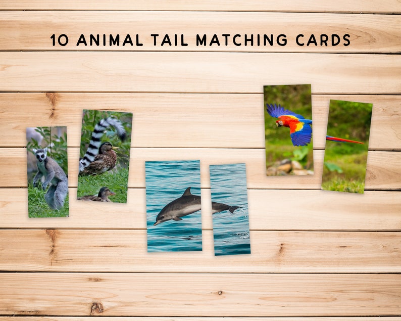May include: 10 Animal Tail Matching Cards.  A set of 10 cards featuring images of animals and their tails.  The cards are printed on white cardstock and have a woodgrain background.