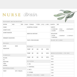 Nurse Report Sheet