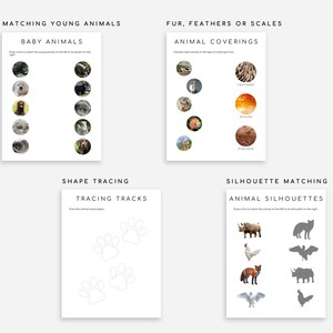 60 Montessori Worksheets Ages 3-6 | Preschool, Pre-K and Kindergarten Homeschool image 4