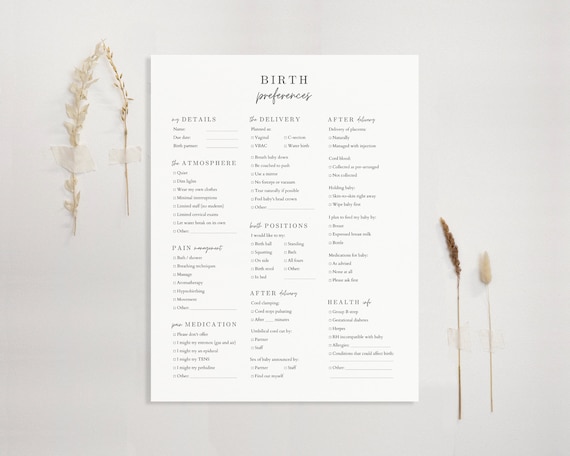 Geboorteplan Bewerkbaar Word Canva Google Docs Google Slides