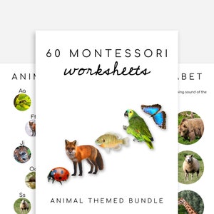 60 Montessori Worksheets Ages 3-6 | Preschool, Pre-K and Kindergarten Homeschool image 8