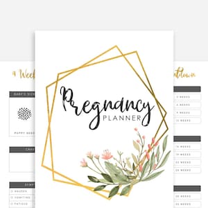 Pregnancy Planner Printable Pregnancy Journal Printable image 1