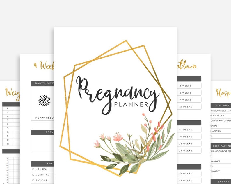 Pregnancy Planner Printable Pregnancy Journal Printable image 1