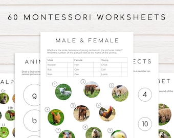 60 Montessori Worksheets Ages 3-6 | Preschool, Pre-K and Kindergarten Homeschool