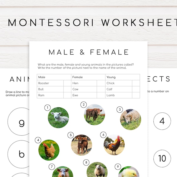 60 Montessori Worksheets Ages 3-6 | Preschool, Pre-K and Kindergarten Homeschool