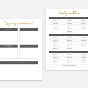 Pregnancy Planner Printable Pregnancy Journal Printable image 5