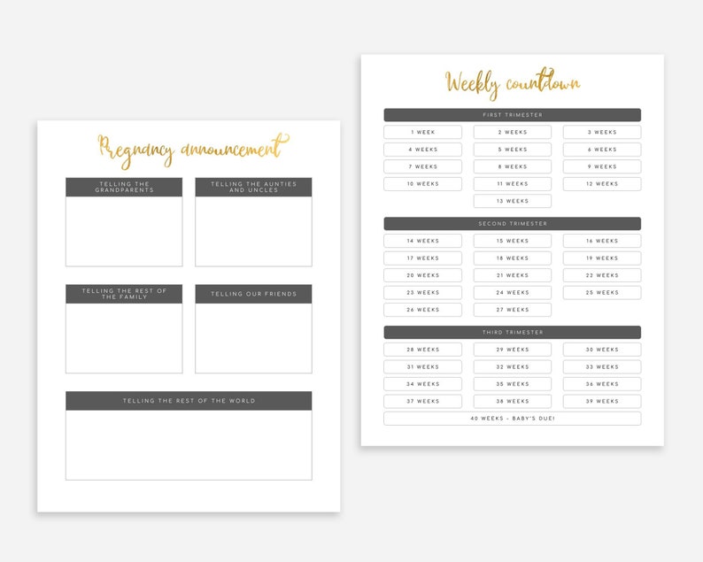 Pregnancy Planner Printable Pregnancy Journal Printable image 5