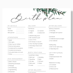 Birth Plan Template